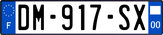 DM-917-SX
