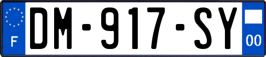 DM-917-SY