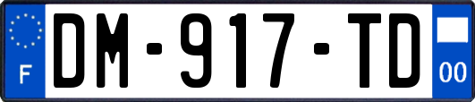 DM-917-TD