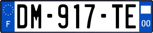DM-917-TE