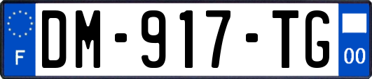 DM-917-TG