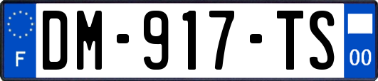 DM-917-TS