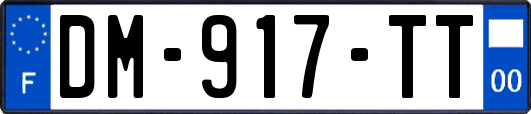 DM-917-TT