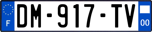 DM-917-TV