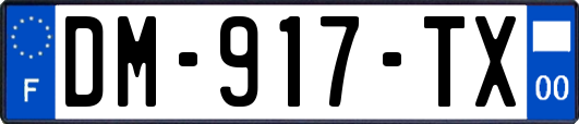 DM-917-TX