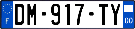 DM-917-TY
