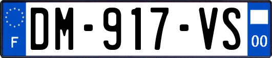 DM-917-VS