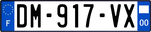 DM-917-VX