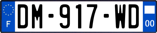 DM-917-WD