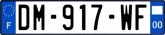 DM-917-WF