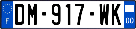 DM-917-WK