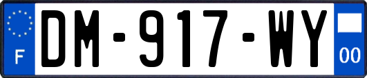 DM-917-WY