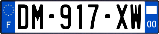 DM-917-XW