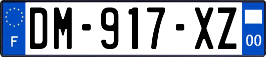 DM-917-XZ