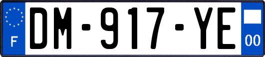 DM-917-YE