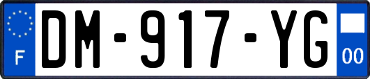 DM-917-YG