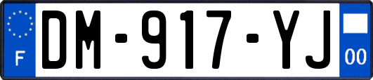 DM-917-YJ