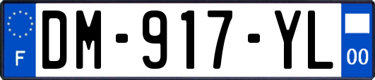 DM-917-YL