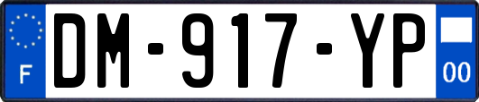 DM-917-YP