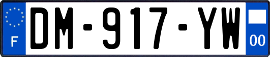 DM-917-YW