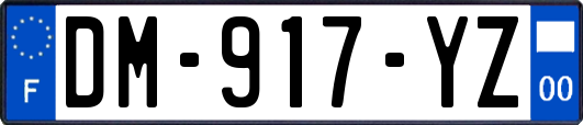 DM-917-YZ