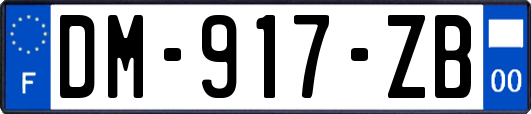 DM-917-ZB