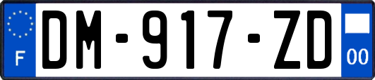 DM-917-ZD