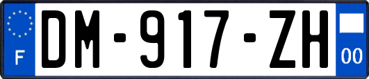 DM-917-ZH