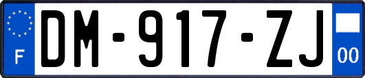 DM-917-ZJ