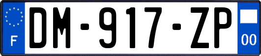 DM-917-ZP