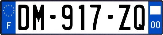 DM-917-ZQ