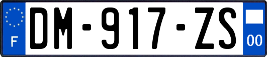 DM-917-ZS