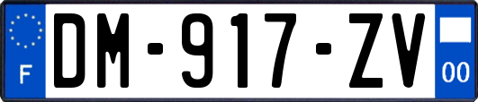 DM-917-ZV