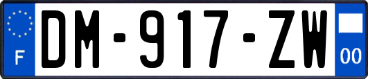 DM-917-ZW