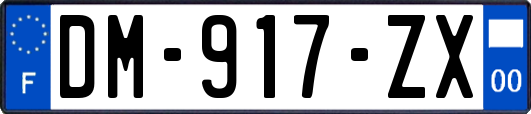 DM-917-ZX