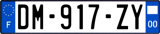 DM-917-ZY