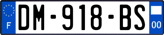 DM-918-BS