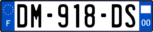 DM-918-DS