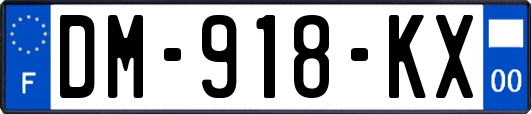 DM-918-KX