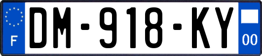 DM-918-KY
