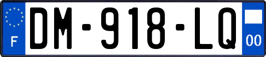 DM-918-LQ