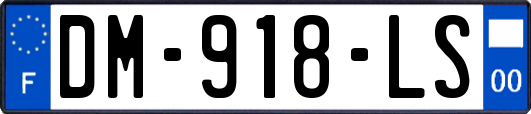 DM-918-LS