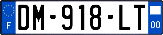 DM-918-LT