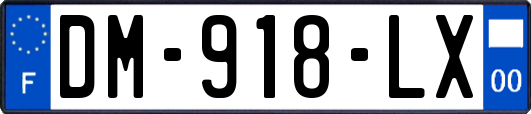 DM-918-LX