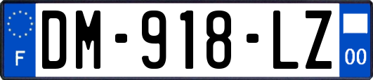 DM-918-LZ