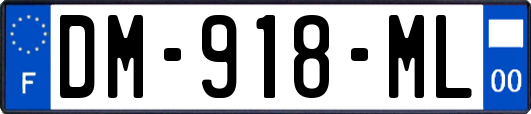 DM-918-ML