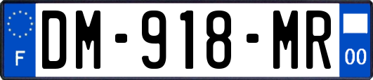 DM-918-MR