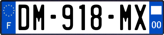 DM-918-MX