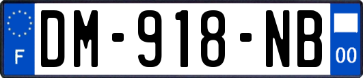 DM-918-NB
