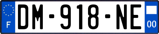 DM-918-NE